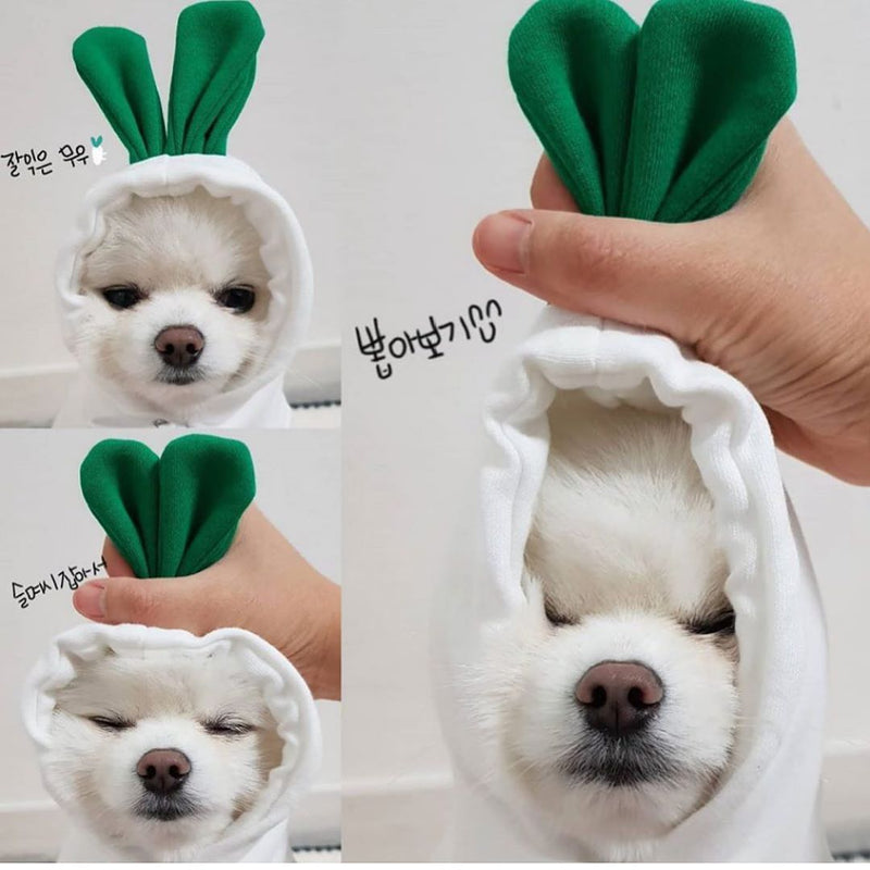 Fruit Dog Clothes For Small Dogs