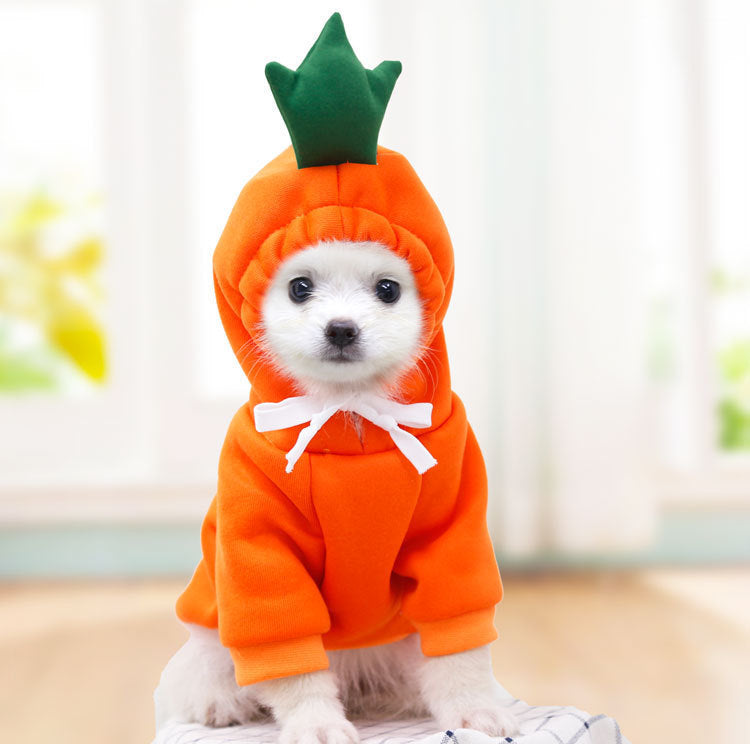 Fruit Dog Clothes For Small Dogs