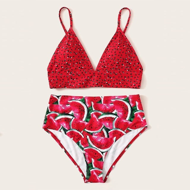 2 Piece Bikini