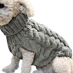 New Sweater for Dogs