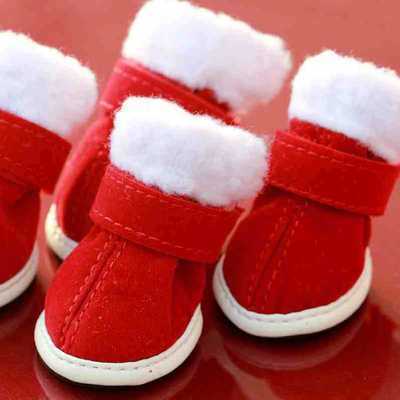 Doggy Christmas Shoes
