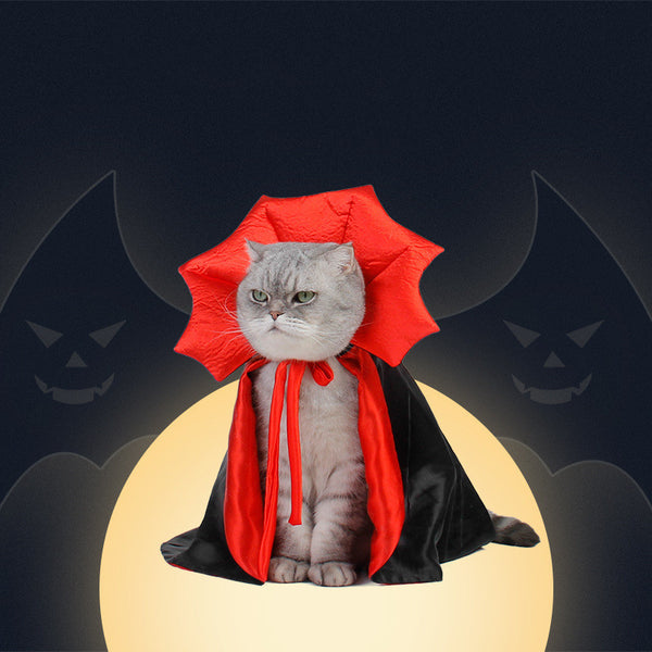 Halloween Pet  Halloween Costume