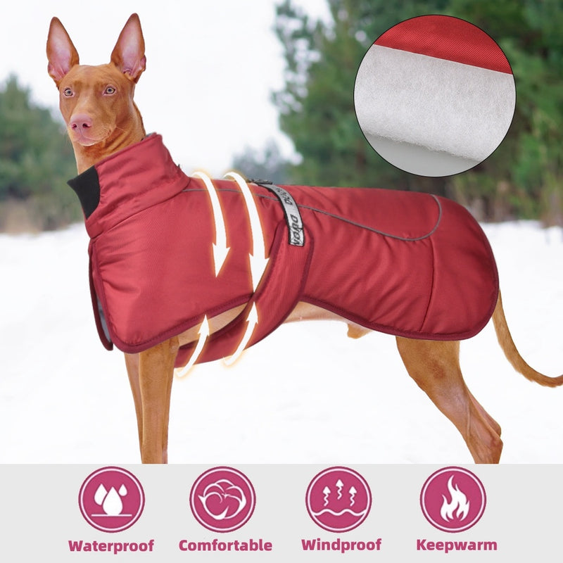 New Dog Clothes Cloak Thickened And Warming Clothes
